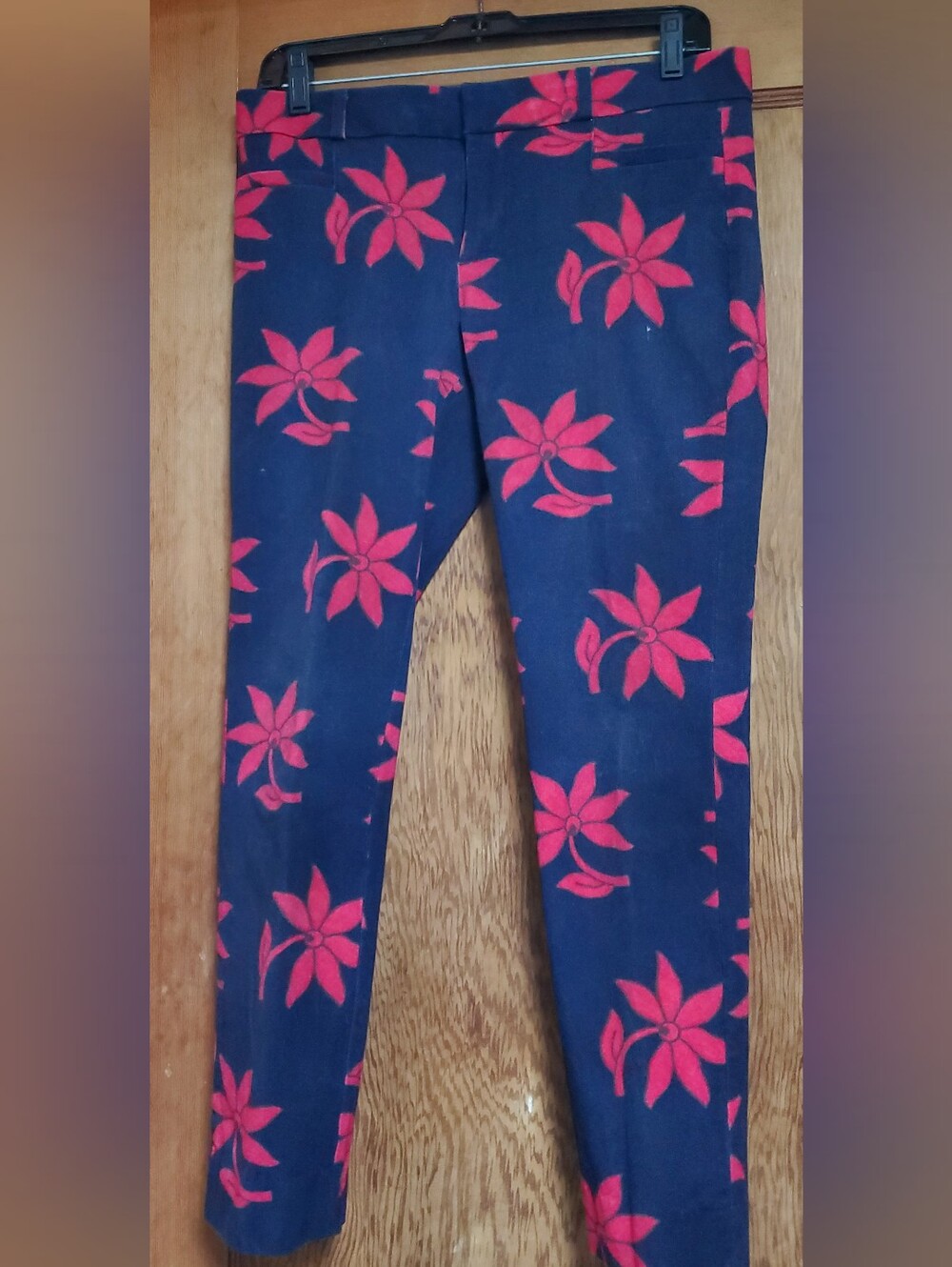 Banana Republic Navy Leggings with Bright Red Floral Print